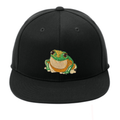 Frog Embroidery Hat