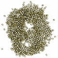 Delica 11/0 Duracoat Galvanized LT Smoky Pewer approx. 9.5G