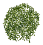 Fire Polish True 2mm 50 PCS